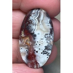 Oval 37x20mm Natural Crazy Lace Agate Cabochon 47