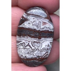Oval 34x21mm Natural Crazy Lace Agate Cabochon 52