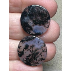 Round 19x19mm Green Moss Agate Cabochon Pair 04