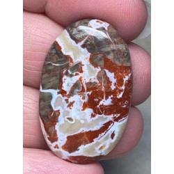 Oval 36x22mm Money Agate Cabochon 05