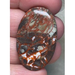Oval 37x23mm Money Agate Cabochon 07
