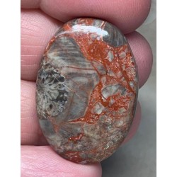 Oval 34x23mm Money Agate Cabochon 08