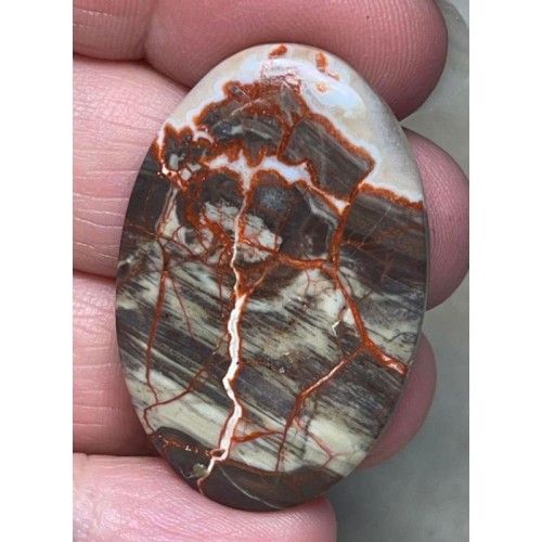 Oval 39x25mm Money Agate Cabochon 10
