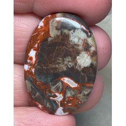 Oval 33x23mm Money Agate Cabochon 11