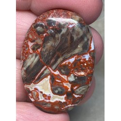Oval 37x26mm Money Agate Cabochon 12