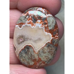 Oval 36x25mm Money Agate Cabochon 15