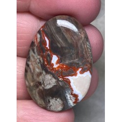 Oval 34x23mm Money Agate Cabochon 16