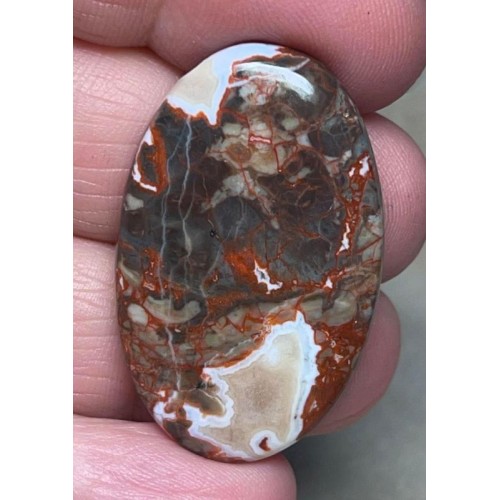 Oval 37x23mm Money Agate Cabochon 20