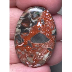 Oval 34x22mm Money Agate Cabochon 21