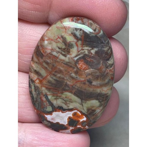 Oval 37x26mm Money Agate Cabochon 22