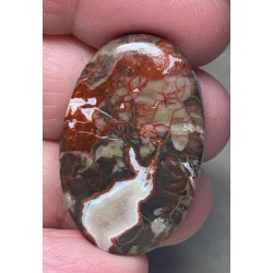 Oval 35x22mm Money Agate Cabochon 27