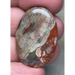 Oval 34x23mm Money Agate Cabochon 32