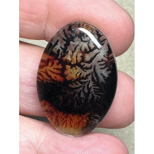 Oval 30x21mm Scenic Dendrite Agate Doublet Cabochon 05