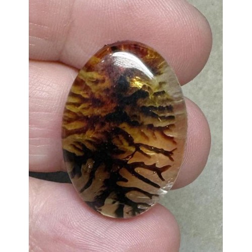 Oval 27x19mm Scenic Dendrite Agate Doublet Cabochon 08