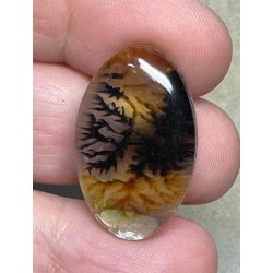 Oval 28x17mm Scenic Dendrite Agate Doublet Cabochon 20