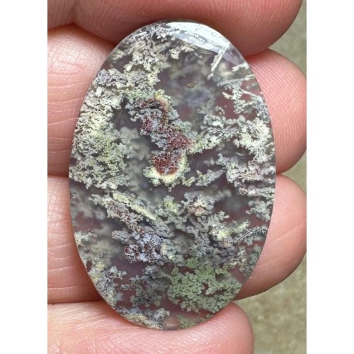 Oval 33x21mm Scenic Java Moss Agate Cabochon 10