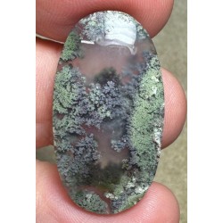 Oval 32x17mm Scenic Java Moss Agate Cabochon 19