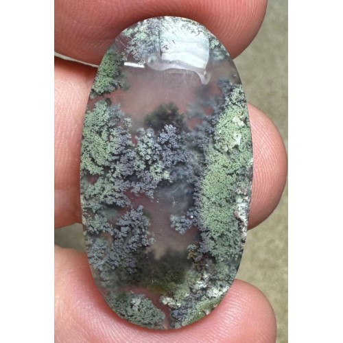 Oval 32x17mm Scenic Java Moss Agate Cabochon 19