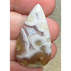 Teardrop 36x20mm Ternate Agate Cabochon 03