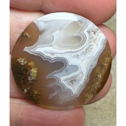 Round 31x31mm Ternate Agate Cabochon 21