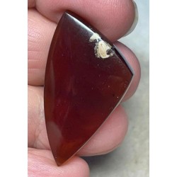 Freeform 39x22mm Indonesian Red Amber Cabochon 01
