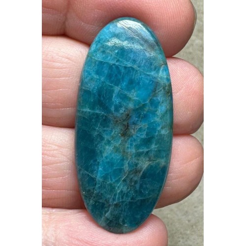 Oval 39x17mm Neon Apatite Cabochon 12