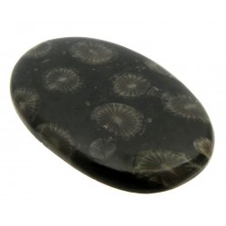 Oval 43x27mm Black Fossil Coral Cabochon 01