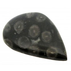 Teardrop 45x33mm Black Fossil Coral Cabochon 02