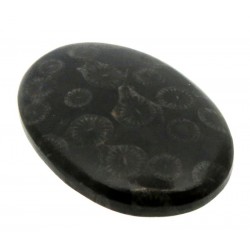 Oval 34x24mm Black Fossil Coral Cabochon 09