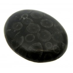 Oval 32x25mm Black Fossil Coral Cabochon 11