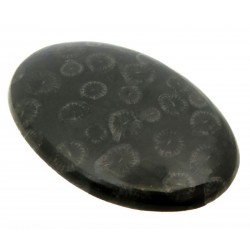 Oval 42x27mm Black Fossil Coral Cabochon 14