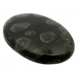 Oval 39x25mm Black Fossil Coral Cabochon 18