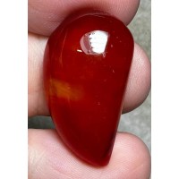 Freeform 28x16mm Carnelian Cabochon 72