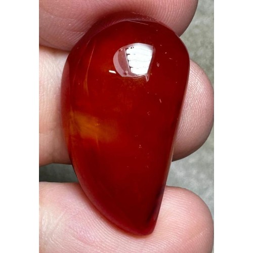 Freeform 28x16mm Carnelian Cabochon 72