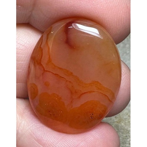 Oval 26x21mm Carnelian Cabochon 74