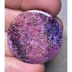 Round 34x34mm Colour Enhanced Fossil Coral Cabochon 02