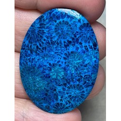 Oval 39x29mm Colour Enhanced Fossil Coral Cabochon 11