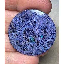 Round 34x34mm Colour Enhanced Fossil Coral Cabochon 16
