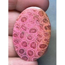 Oval 40x27mm Colour Enhanced Fossil Coral Cabochon 26
