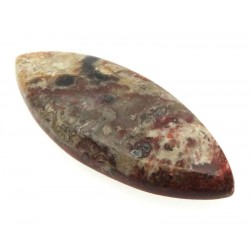 Marquise 45x18mm Crazy Lace Agate Cabochon 05