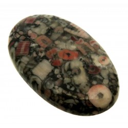 Oval 43x27mm Crinoid Fossil Cabochon 02