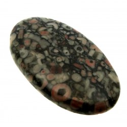 Oval 42x24mm Crinoid Fossil Cabochon 07