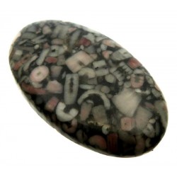 Oval 38x23mm Crinoid Fossil Cabochon 21