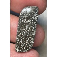 Freeform 31x12mm Dinosaur Bone Cabochon 14