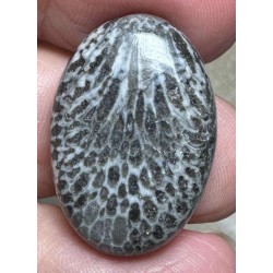 Oval 26x18mm Black Fossil Coral Cabochon 24