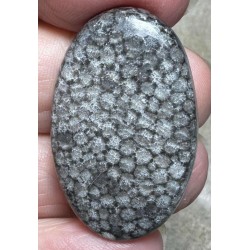 Oval 37x23mm Black Fossil Coral Cabochon 33