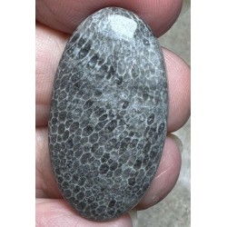 Oval 35x19mm Black Fossil Coral Cabochon 46