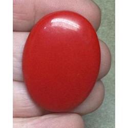 Oval 35x27mm Red Coral Cabochon 13