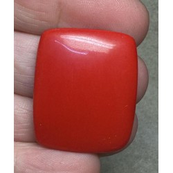 Rectangle 30x25mm Red Coral Cabochon 15