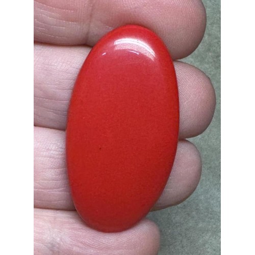 Oval 41x22mm Red Coral Cabochon 17